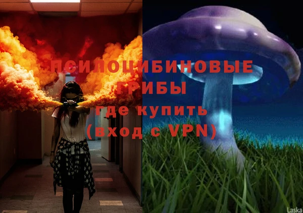 2c-b Абинск
