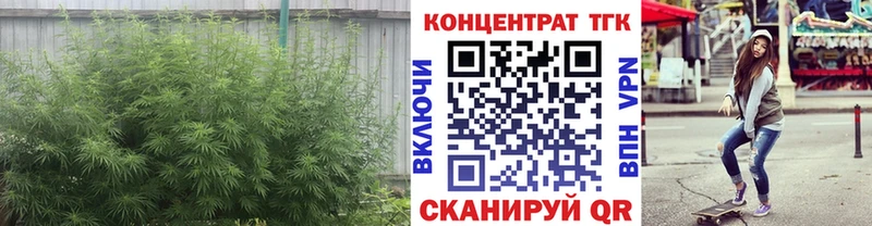 мориарти наркотические препараты  Фокино  ТГК гашишное масло 