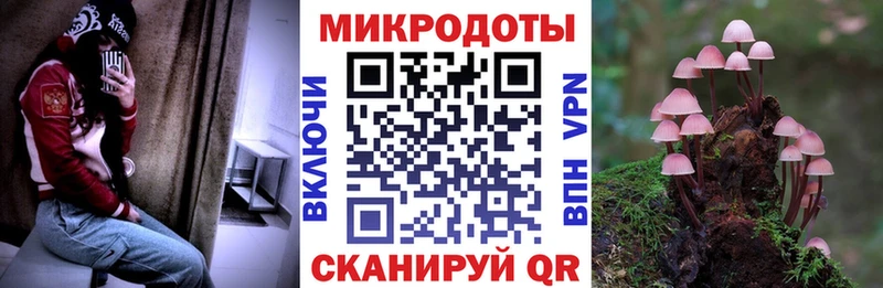 Псилоцибиновые грибы мицелий  купить наркоту  Фокино 